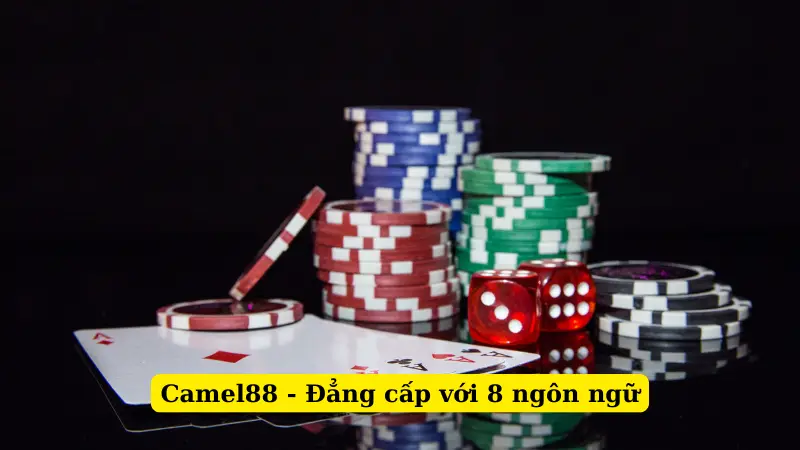 Camel88 - Đẳng cấp với 8 ngôn ngữ