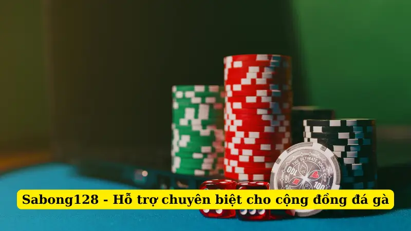 Sabong128 - Hỗ trợ chuyên biệt cho cộng đồng đá gà